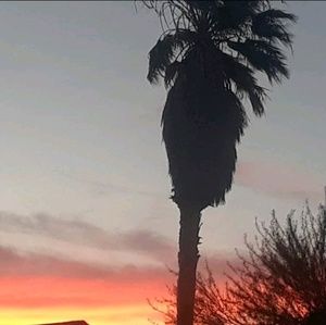 Meet your Posher, Ruby